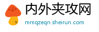 内外夹攻网